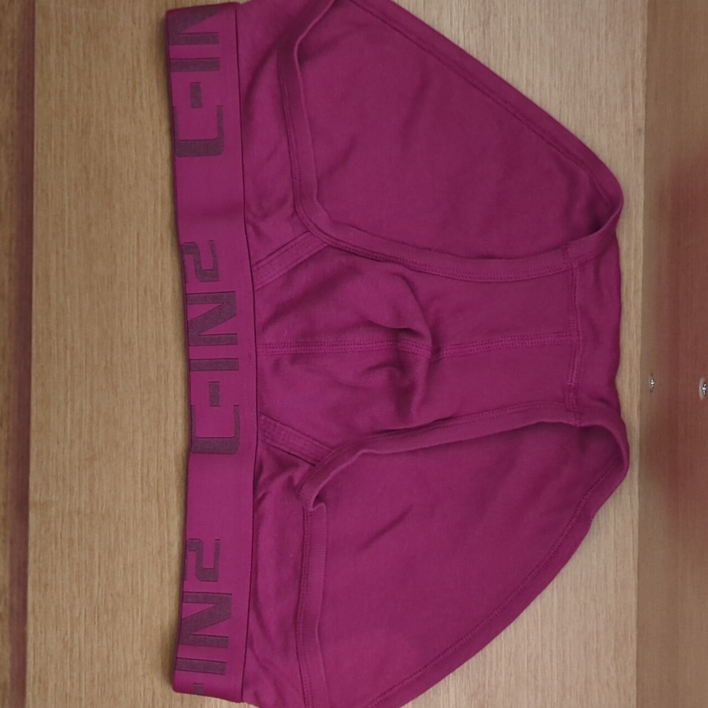 Briefs